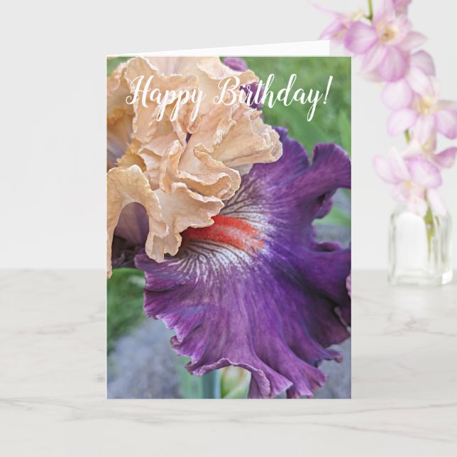 Lila Iris Bloom Blommigt Birthday Kort (Orkide)
