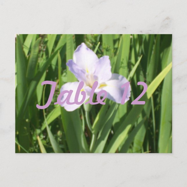 Lila Iris Bordsnummer (Framsida)