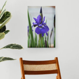 Lila Iris Botanisk Fotografisk Blomma Canvastryck