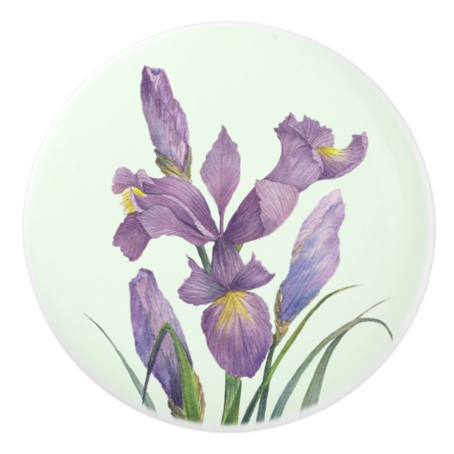 Lila Iris botaniska Blommigten Plain Anka Egg Blue Knopp (Framsidan)