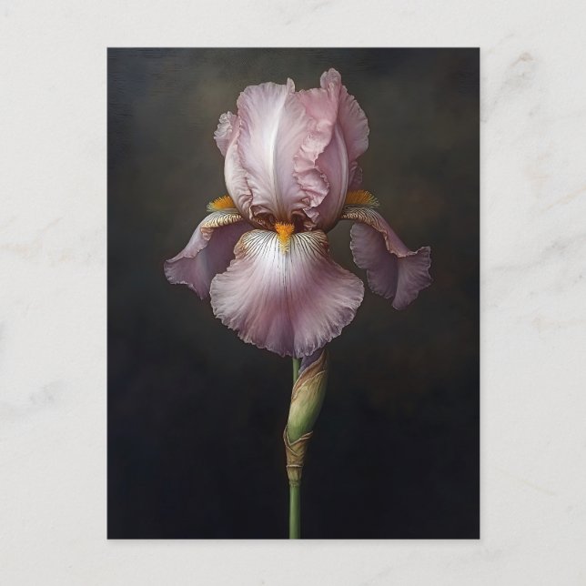 Lila Iris botaniska målning Vykort (Framsida)