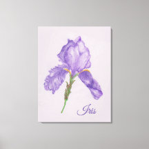 Lila Iris, Botaniskt Stil, Färgpenna Art