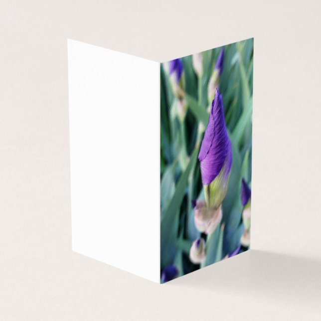 lila iris-bud kort (Utsida)