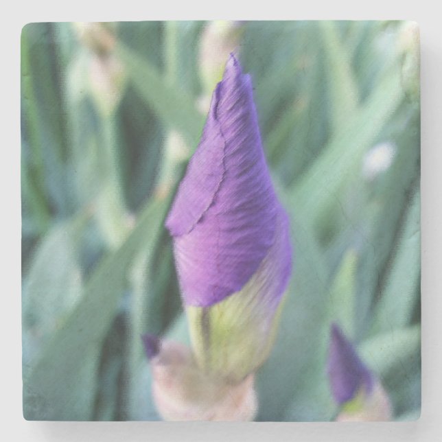 lila iris-bud stenunderlägg (Framsidan)