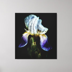 Lila Iris Canvastryck