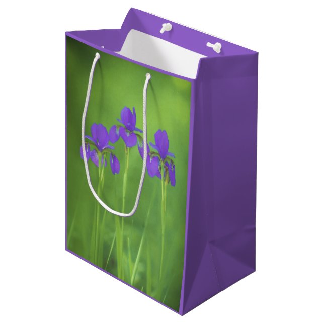 Lila Iris-färgning - originalblomma (Framsidan Vinklad)