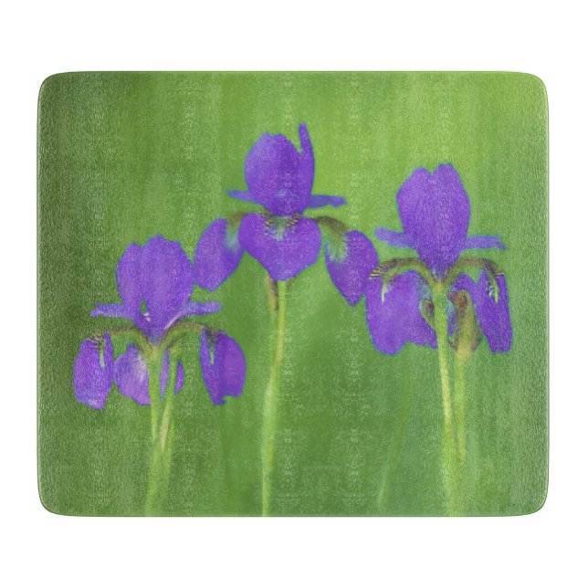 Lila Iris-färgning - originalblomma (Framsidan)