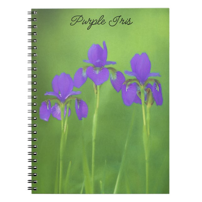 Lila Iris-färgning - originalblomma Anteckningsbok (Framsidan)