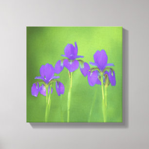 Lila Iris-färgning - originalblomma Canvastryck