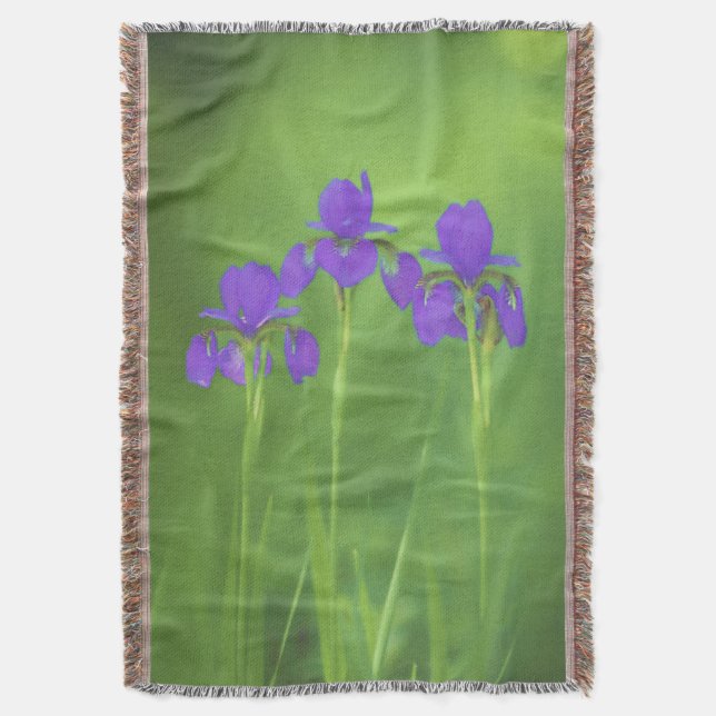 Lila Iris-färgning - originalblomma Filt (Framsidan Vertikal)