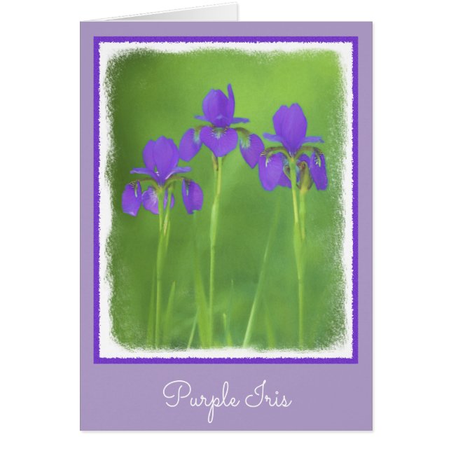 Lila Iris-färgning - originalblomma Hälsningskort (Framsidan)