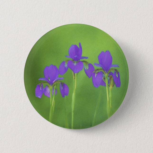 Lila Iris-färgning - originalblomma Knapp (Framsida)
