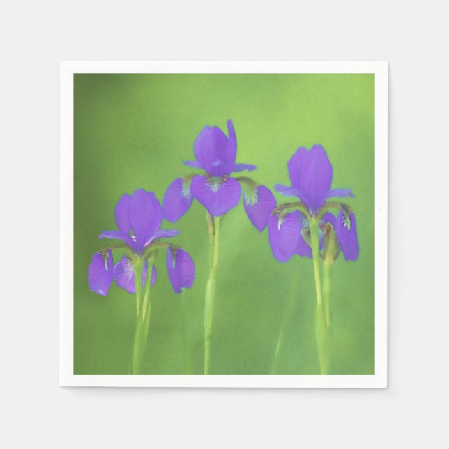 Lila Iris-färgning - originalblomma Pappersservett (Framsidan)