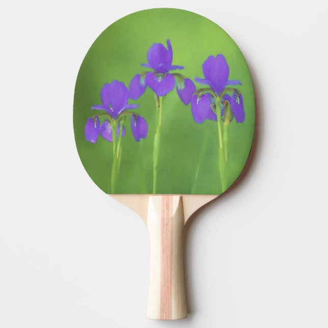 Lila Iris-färgning - originalblomma Pingisracket (Framsidan)