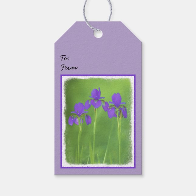 Lila Iris-färgning - originalblomma Presentetikett (Framsidan)