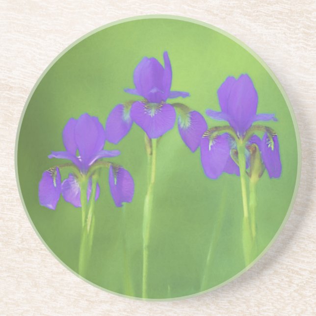 Lila Iris-färgning - originalblomma Underlägg (Framsidan)