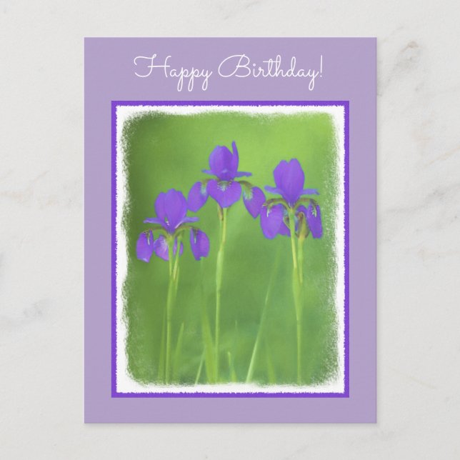 Lila Iris-färgning - originalblomma Vykort (Framsida)