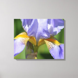Lila Iris Floralphophy Canvastryck