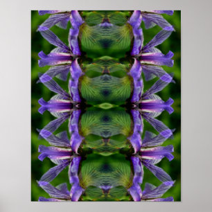 Lila Iris Flower Abstrakt Poster