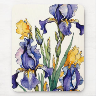 Lila Iris Flower Bloom Musmatta