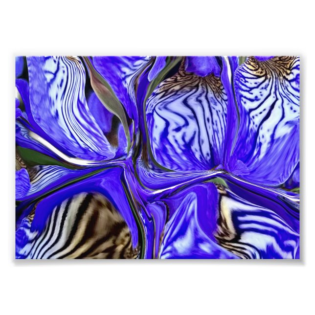 Lila Iris Flower Fototryck (Framsidan)