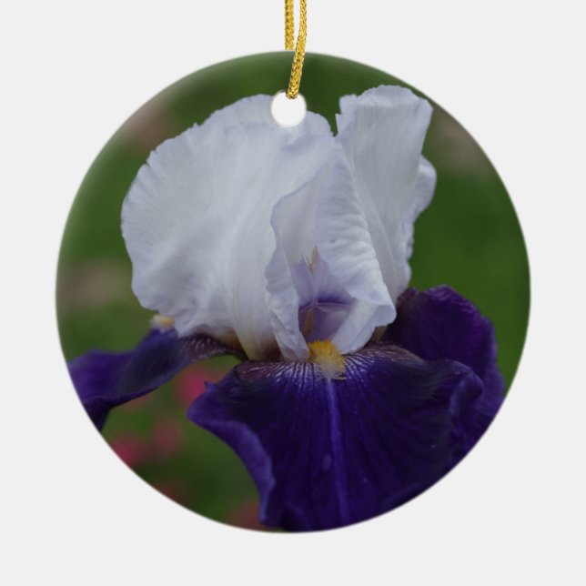Lila Iris Flower jul Ornament (Framsidan)