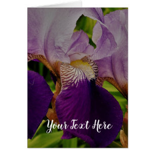 Lila Iris Flower Photo Postcard Hälsningskort