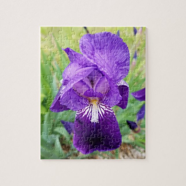 Lila Iris Flower Pussel (Vertikal)