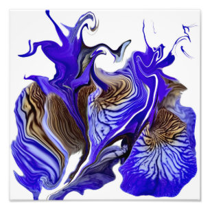 Lila Iris Flower Swirls Fototryck