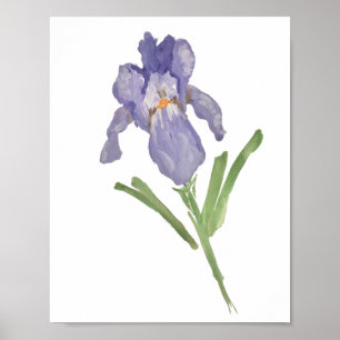 Lila Iris Flower Watercolor Painting Poster