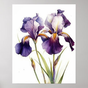 Lila Iris Flowers Art Print Poster