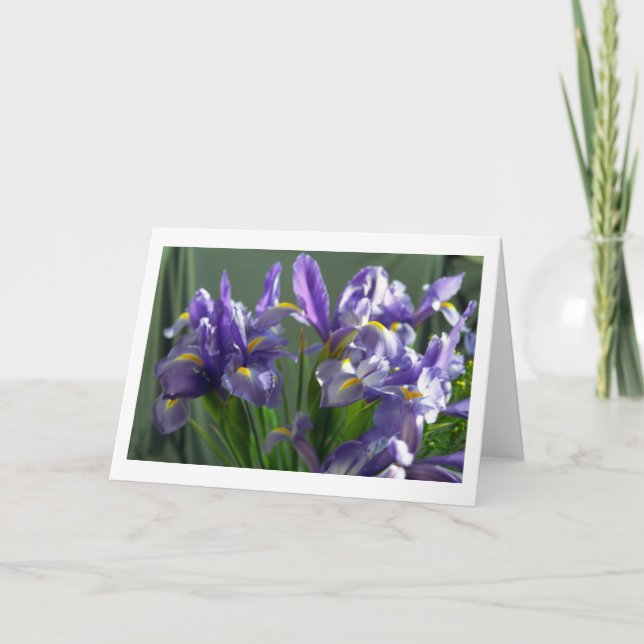 Lila Iris Flowers Photo Greeting Card Kort (Framsida)