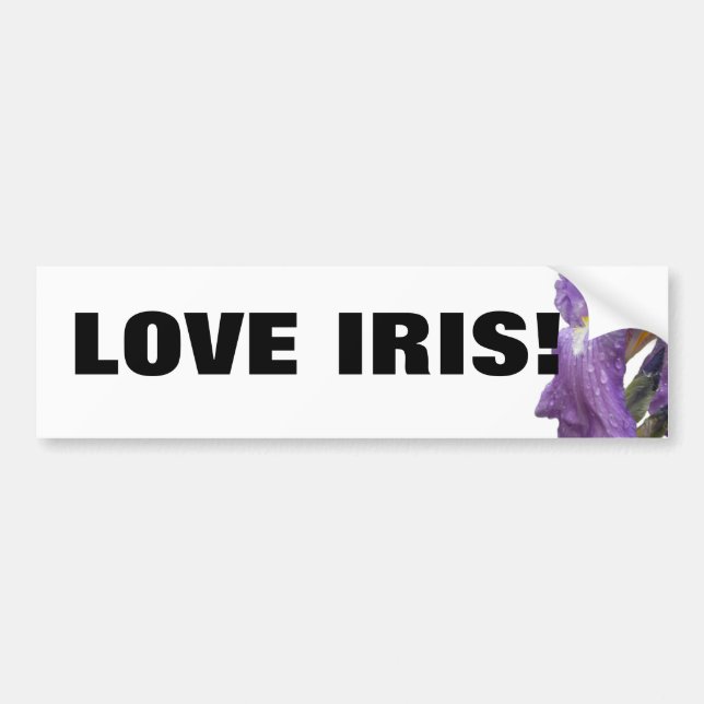 Lila Iris-foto Bildekal (Framsidan)