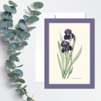 Lila Iris Germanica Botaniskt konturteckningskort