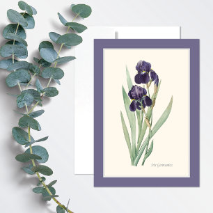 Lila Iris Germanica Botaniskt konturteckningskort OBS Kort