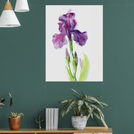 Lila Iris i Ljus Akvarell Poster