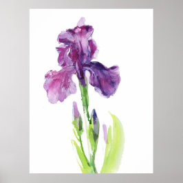 Lila Iris i Ljus Akvarell Poster