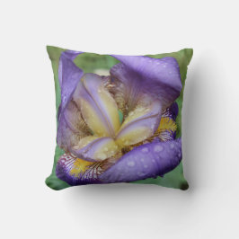 Lila Iris (Iris Germanica) Kudde