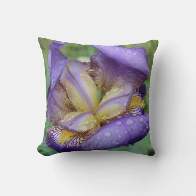 Lila Iris (Iris Germanica) Kudde (Framsida)