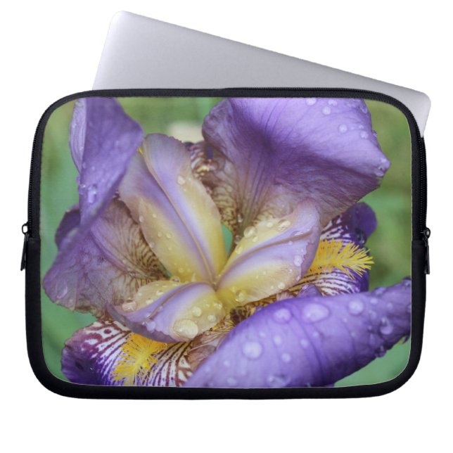 Lila Iris (Iris Germanica) Laptop Fodral (Framsidan)