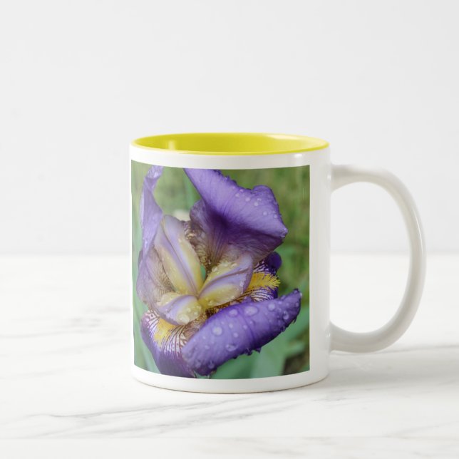 Lila Iris (Iris Germanica) Två-Tonad Mugg (Höger)