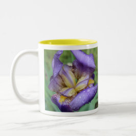 Lila Iris (Iris Germanica) Två-Tonad Mugg