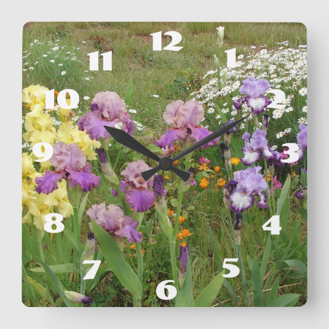 Lila Iris Irisar Vit Marguerit Trädgårdsblomma  Fyrkantig Klocka (Framsida)