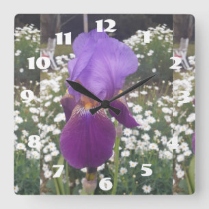 Lila Iris Irisar Vit Tusenskönor Trädgårdsblomma  Fyrkantig Klocka