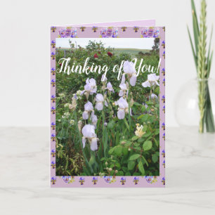 Lila Iris irises Garden Thinking Card Kort