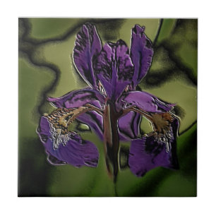 Lila Iris Kakelplatta