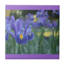 Lila Iris Keramisk Platta