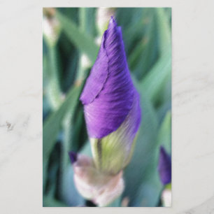 lila iris knopp brevpapper