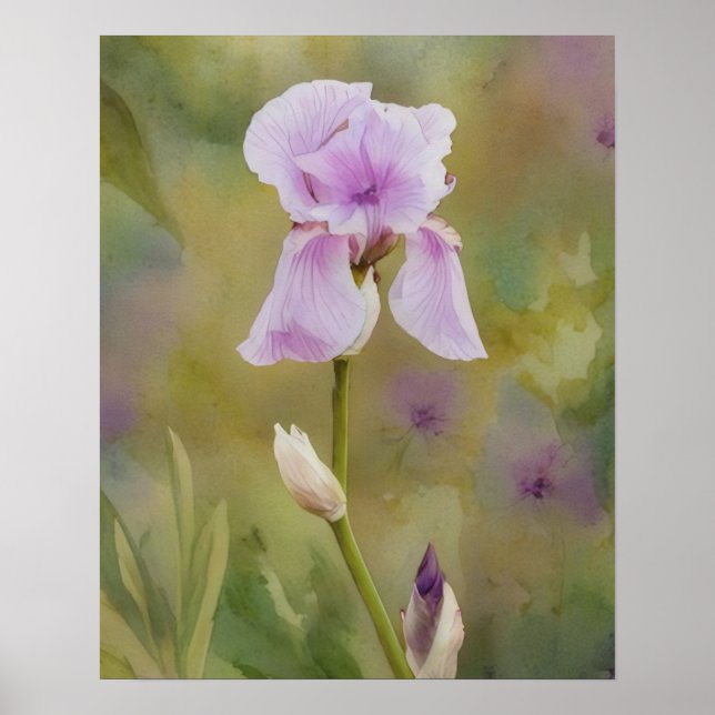 Lila Iris Konst Blomma Blommig Affisch (Framsidan)