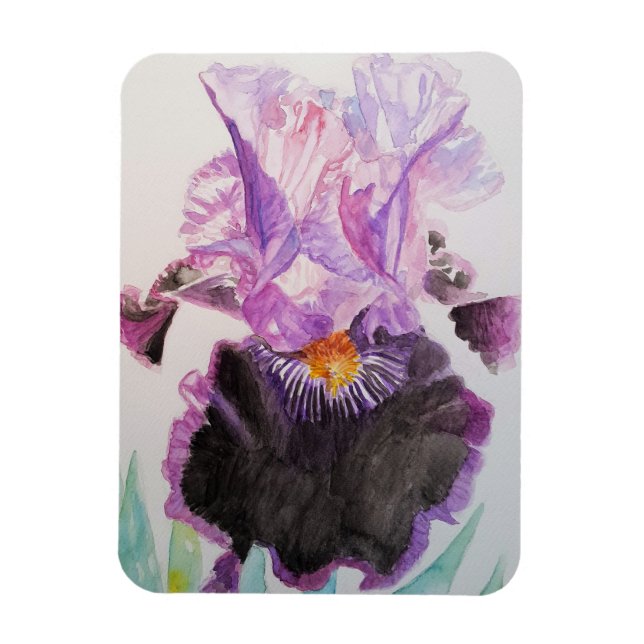 Lila Iris konst Blommor Vattenfärg Magnet (Vertikal)